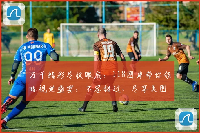 万千精彩尽收眼底，118图库带你领略视觉盛宴，不容错过，尽享美图盛宴
