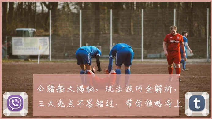 公赌船大揭秘，玩法技巧全解析，三大亮点不容错过，带你领略海上娱乐盛宴
