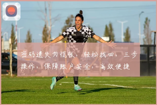 密码遗失勿慌张，轻松找回，三步操作，保障账户安全，高效便捷
