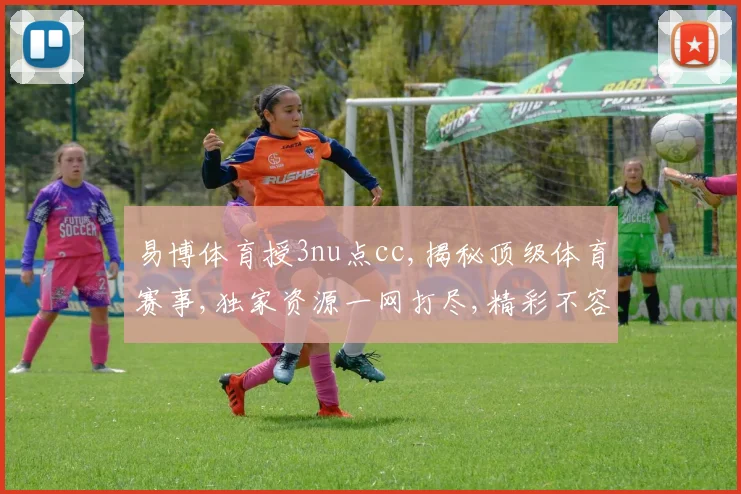 易博体育授3nu点cc,揭秘顶级体育赛事,独家资源一网打尽,精彩不容错过,敬请关注