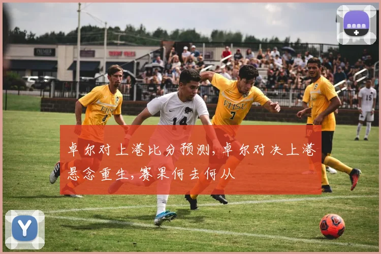 卓尔对上港比分预测,卓尔对决上港悬念重生,赛果何去何从